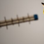 Texto e Fotos Carlos Monteiro