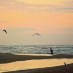 Texto e Foto Carlos Monteiro