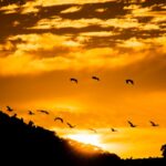 Texto e Fotos Carlos Monteiro