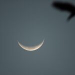 Texto e Fotos Carlos Monteiro