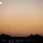 Texto e Fotos Carlos Monteiro