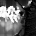 Texto e Foto Carlos Monteiro