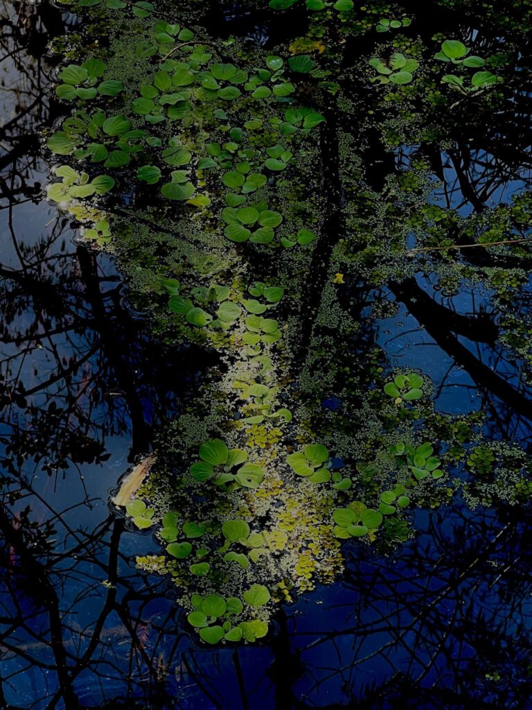 WhatsApp Image 2025-06-01 at 04.45.24 (1)