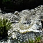 Texto e Foto Carlos Monteiro