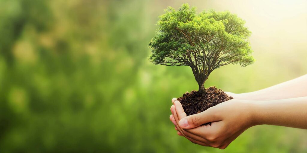 Dicas_de_sustentabilidade_no_dia_a_dia_a70ef453-2b46-4834-bb75-ed446b1626e0