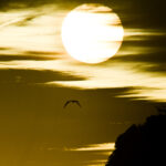 Foto Carlos Monteiro