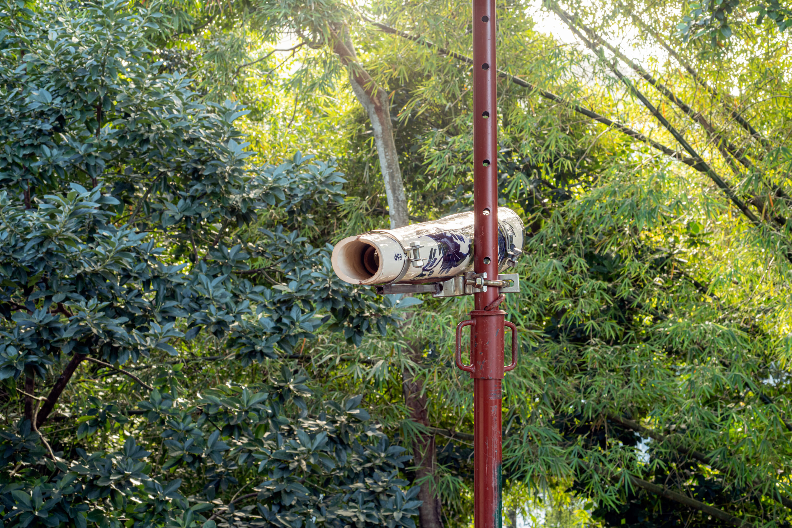 Bete Esteves apresenta “elataquidentro” no Solar Grandjean de Montigny