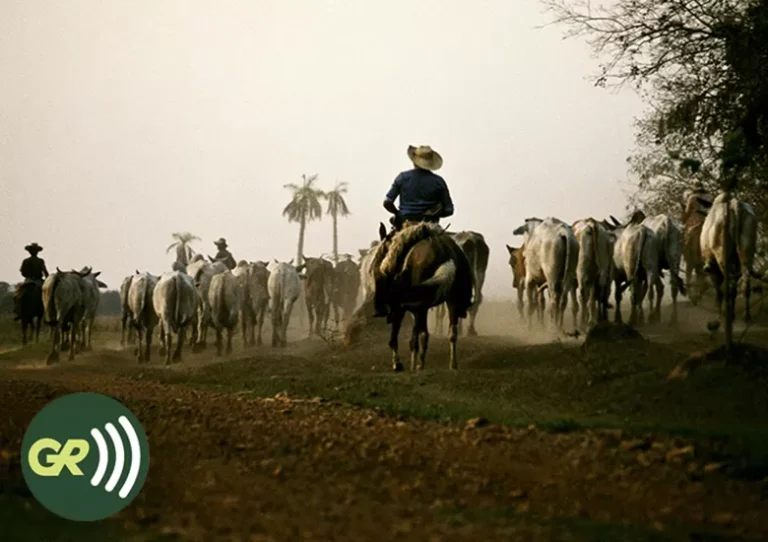 vida_de_vaqueiro__valdemir_cunha_alta