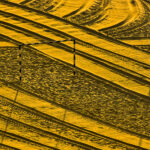 Foto Carlos Monteiro