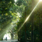 Foto Carlos Monteiro