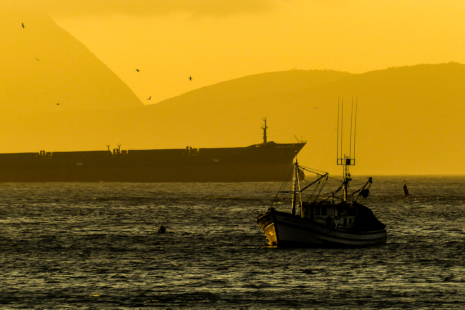 Foto Carlos Monteiro