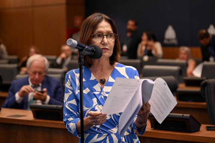 Martha-Rocha-Plenario-2