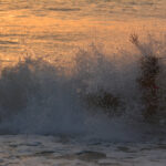 Foto Carlos Monteiro