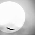 foto: Carlos Monteiro