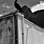 foto: Carlos Monteiro