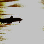 Foto Carlos Monteiro