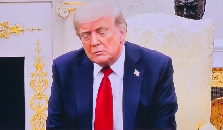 WhatsApp Image 2025-08-06 at 23.55.00