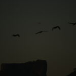 Foto Carlos Monteiro.