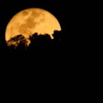 Foto Carlos Monteiro