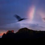 Foto Carlos Monteiro