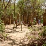 Ruínas da Senzala, Ilha da Marambaia (Mangaratiba), Iane Lima