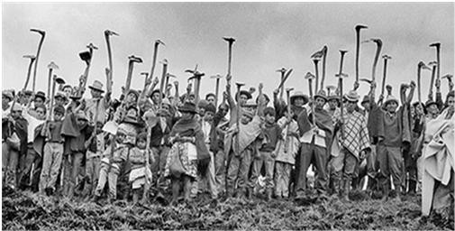 campesinos1487780458