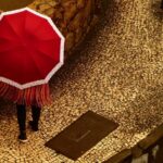 Texto e Foto Carlos Monteiro