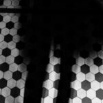 Texto e Foto Carlos Monteiro