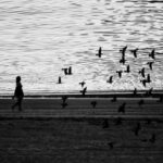 Texto e Foto Carlos Monteiro