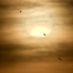 Texto e Foto Carlos Monteiro