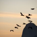 Texto e Foto Carlos Monteiro