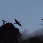 Texto e Foto Carlos Monteiro