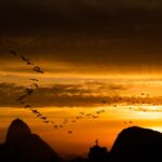 Texto e Foto Carlos Monteiro