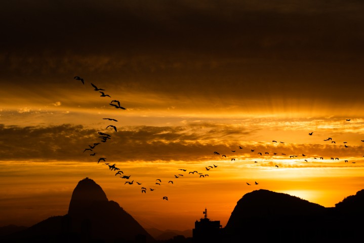 Texto e Foto Carlos Monteiro