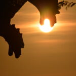 Texto e Foto Carlos Monteiro