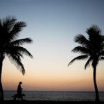 Texto e Foto Carlos Monteiro