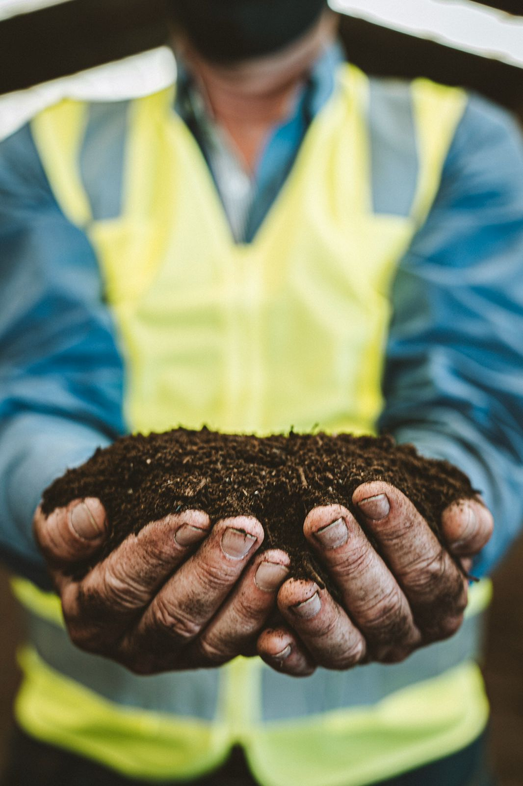 MANTIQUEIRA BRASIL - JANEIRO 2026