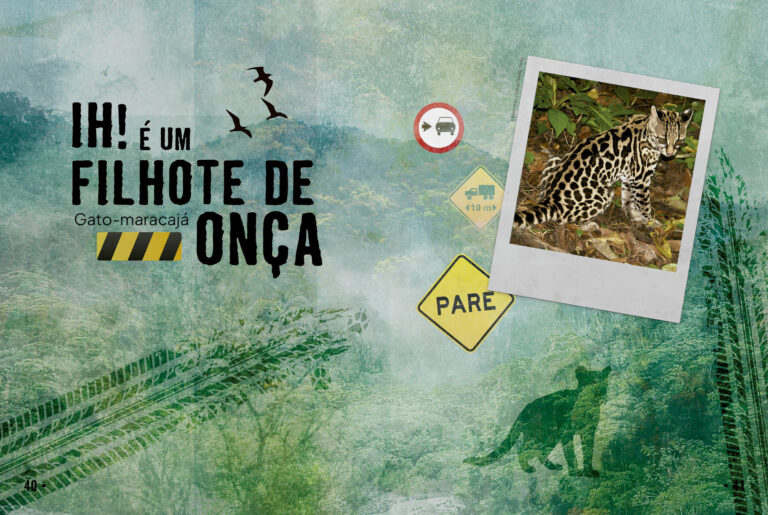 MIOLO_Cronicas atropeladas_40-41