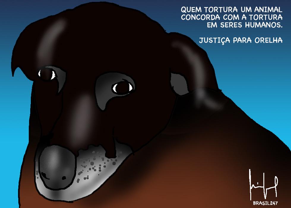 WhatsApp Image 2026-01-27 at 12.43.55