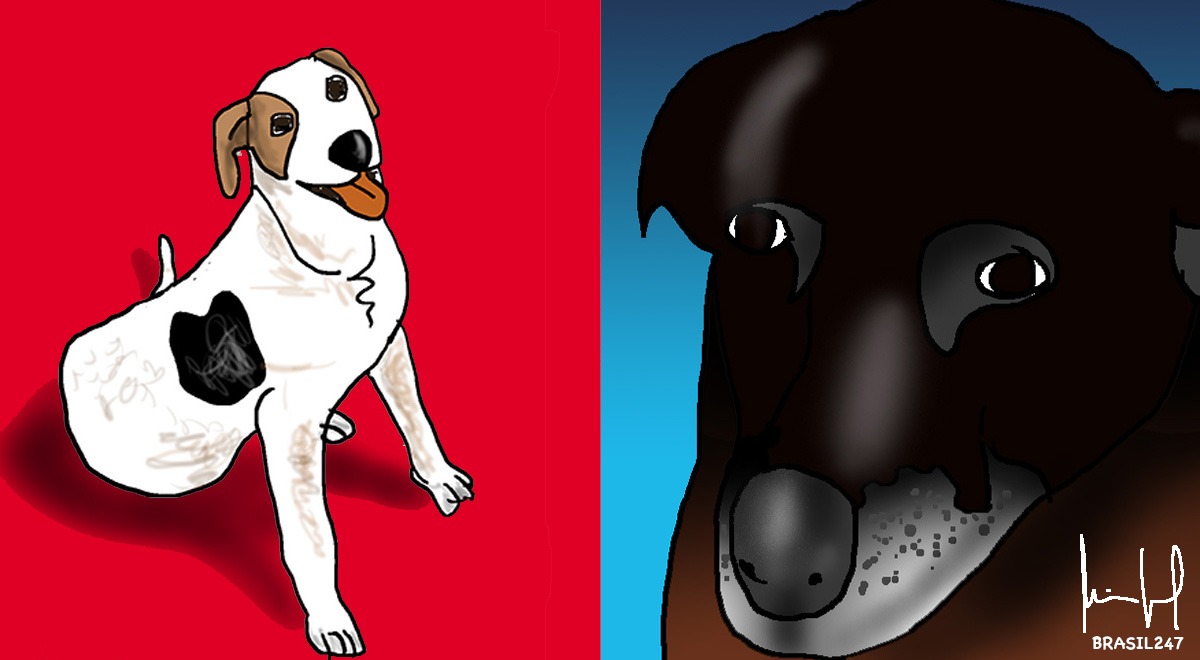 WhatsApp Image 2026-01-29 at 14.56.45