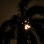 Texto e Foto Carlos Monteiro