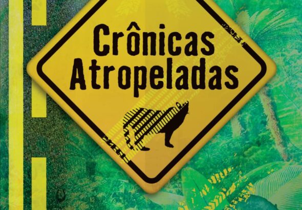 WhatsApp Image 2026-02-03 at 17.20.08