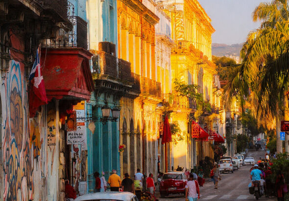 WhatsApp Image 2026-02-12 at 22.16.51