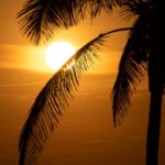 Texto e Foto Carlos Monteiro