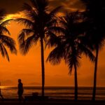 Texto e Foto Carlos Monteiro