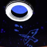 Texto e Fotos Carlos Monteiro