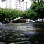 Texto e Foto Carlos Monteiro