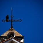 Texto e Foto Carlos Monteiro