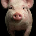 WhatsApp Image 2026-04-07 at 13.32.01