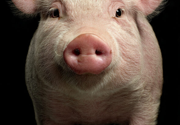 WhatsApp Image 2026-04-07 at 13.32.01